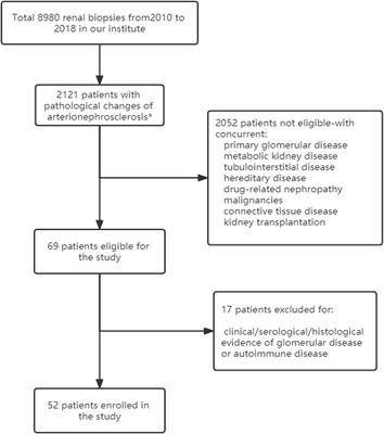 Potential Involvement of Complement Activation in Kidney Vascular Lesions of Arterionephrosclerosis